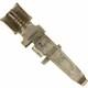 TE Connectivity AMP Connectors 556136-2