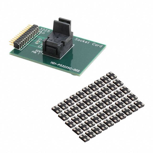 Microchip Technology DSC-PROG-8004-3225