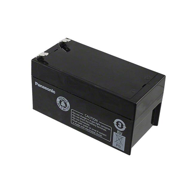 Panasonic - BSG LC-R121R3P
