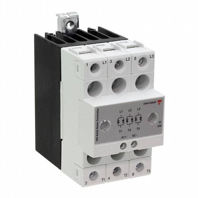 Carlo Gavazzi Inc. RGC3P60AA20E