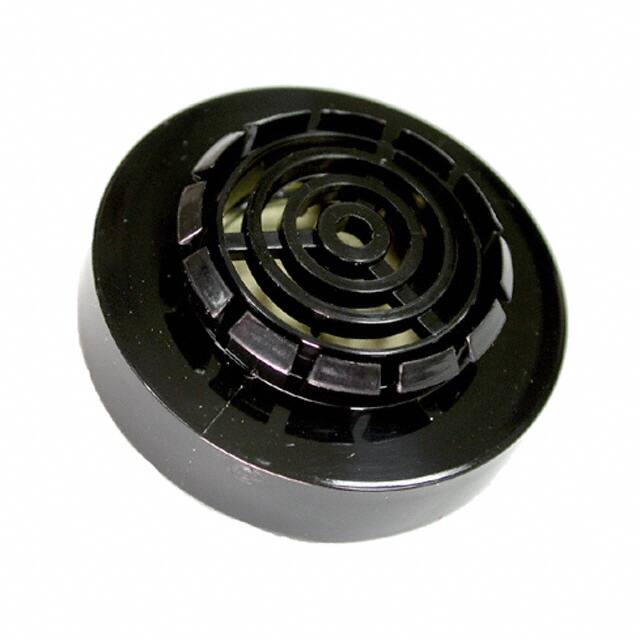 Mallory Sonalert Products Inc. SNP428R